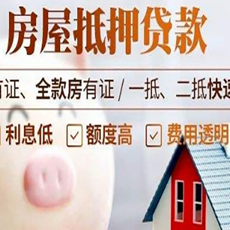 饶阳贷款助贷公司新渝启服靠谱公司